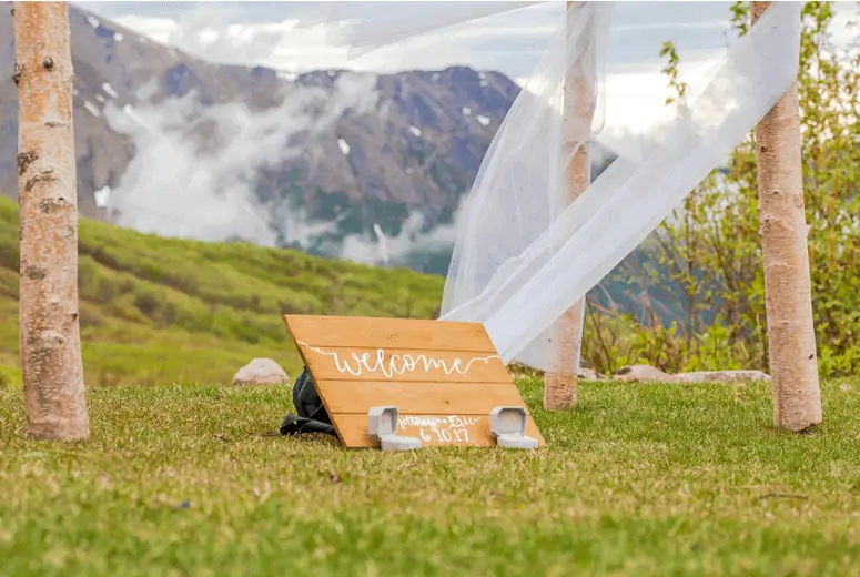 backyard bridal shower - welcome sign