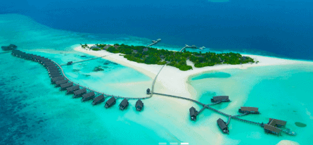 como cocoa island resort and como laalifushi