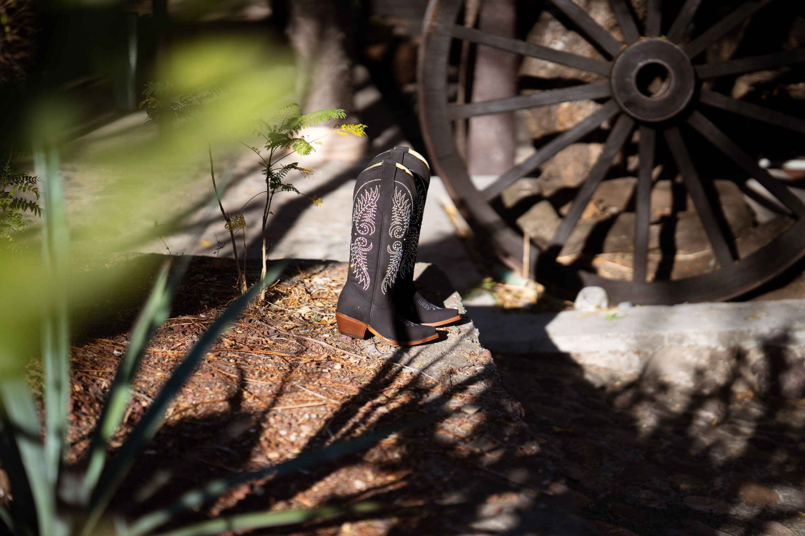 boots on the sunlight